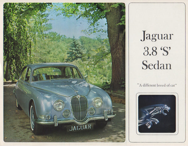jaguar_3.8_"s"_sedan_brochure_1965-1_at_albaco.com