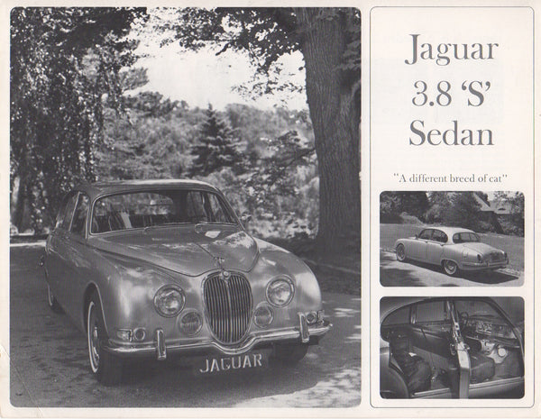 jaguar_3.8_"s"_sedan_brochure_1965_(single_sheet)-1_at_albaco.com